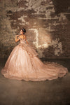 Load image into Gallery viewer, Wholesale Sweet 16 Dress Off Shoulder Floral Lace Gala Gown By LA265
