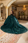 Load image into Gallery viewer, LA Merchandise LA270 Off-Shoulder Floral Applique Ball Gown with Glitter Tulle Skirt