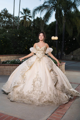 Wholesale Sweet 16 Dress Sweetheart Sleeveless Ball Gown By LA275
