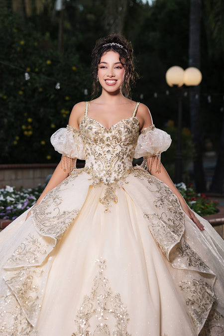 Wholesale Sweet 16 Dress Sweetheart Sleeveless Ball Gown By LA275