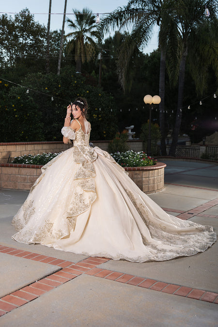 Wholesale Sweet 16 Dress Sweetheart Sleeveless Ball Gown By LA275