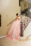 Load image into Gallery viewer, LA Merchandise LA280 Off-Shoulder Quinceañera Gown with 3D Floral Appliqué - - Quinceanera Dress LA Merchandise