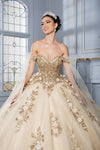 Load image into Gallery viewer, LA Merchandise LA280 Off-Shoulder Quinceañera Gown with 3D Floral Appliqué - - Quinceanera Dress LA Merchandise