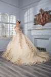 Load image into Gallery viewer, LA Merchandise LA280 Off-Shoulder Quinceañera Gown with 3D Floral Appliqué - - Quinceanera Dress LA Merchandise