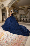 Load image into Gallery viewer, Wholesale Quinceañera Ball Gown with Off-Shoulder Floral Lace Appliqué by LA285