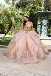 Load image into Gallery viewer, Wholesale Quinceañera Ball Gown with Off-Shoulder Floral Lace Appliqué by LA285