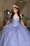Load image into Gallery viewer, Wholesale Elegant Quinceañera Ball Gown with Layered Skirt Floral Lace Appliqué by LA286 - - Quinceanera Dress LA Merchandise