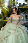 Load image into Gallery viewer, Wholesale Ball Gown Embroidered Corset Bodice with Detachable Handle Gloves By LA291