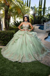 Load image into Gallery viewer, Wholesale Ball Gown Embroidered Corset Bodice with Detachable Handle Gloves By LA291