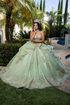 Load image into Gallery viewer, Wholesale Ball Gown Embroidered Corset Bodice with Detachable Handle Gloves By LA291
