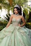 Load image into Gallery viewer, Wholesale Ball Gown Embroidered Corset Bodice with Detachable Handle Gloves By LA291