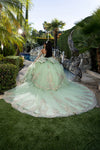 Load image into Gallery viewer, Wholesale Ball Gown Embroidered Corset Bodice with Detachable Handle Gloves By LA291