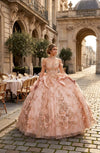 Load image into Gallery viewer, Wholesale Off-Shoulder Sweetheart Glitter Tulle Ball Gown with Floral Appliqué and Bow Back by LA313 - BLUSH - Quinceanera Dress LA MERCHANDISE