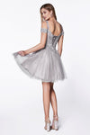 Load image into Gallery viewer, LA Merchandise LAR0132 Glitter Tulle Sweetheart A-line Hoco Dress - - Dress LA Merchandise