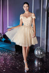 Load image into Gallery viewer, LA Merchandise LAR0132 Glitter Tulle Sweetheart A-line Hoco Dress - CHAMPAGNE - Dress LA Merchandise