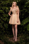 Load image into Gallery viewer, LA Merchandise LAR0174 Lace Detailed A-Line Tulle Homecoming Dress - CHAMPAGNE - Dress LA Merchandise