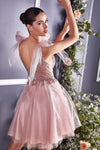 Load image into Gallery viewer, LA Merchandise LAR0174 Lace Detailed A-Line Tulle Homecoming Dress - - Dress LA Merchandise
