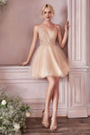 Load image into Gallery viewer, LA Merchandise LAR0190 Sheer Lace V-Neck Short Homecoming Dress - CHAMPAGNE - Dress LA Merchandise
