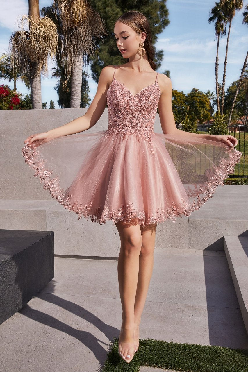 LA Merchandise LAR0213 Floral Embroidered Cocktail Short Lace Dress - BLUSH - Dress LA Merchandise