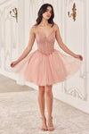 Load image into Gallery viewer, LA Merchandise LAR0236 V-Neck Corset Bodice Tulle Cocktail Dress - BLUSH - Dress LA Merchandise