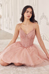 Load image into Gallery viewer, LA Merchandise LAR0236 V-Neck Corset Bodice Tulle Cocktail Dress - - Dress LA Merchandise