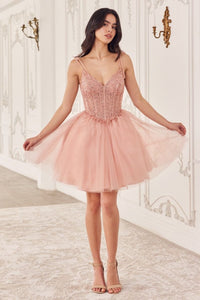 LA Merchandise LAR0236 V-Neck Corset Bodice Tulle Cocktail Dress - BLUSH - Dress LA Merchandise