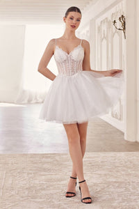 LA Merchandise LAR0236 V-Neck Corset Bodice Tulle Cocktail Dress - OFF WHITE - Dress LA Merchandise