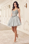 Load image into Gallery viewer, LA Merchandise LAR0236 V-Neck Corset Bodice Tulle Cocktail Dress - SILVER - Dress LA Merchandise