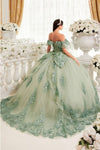 Load image into Gallery viewer, 3D Floral Corset Glitter Layered Quinceañera Ball Gown – Off-Shoulder Dress By LAR15701