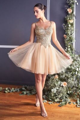 LA Merchandise LAR9239 Short A-Line Embellished Tulle Birthday Dress - CHAMPAGNE-GOLD - Dress LA Merchandise