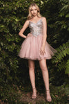 Load image into Gallery viewer, LA Merchandise LAR9239 Short A-Line Embellished Tulle Birthday Dress - MAUVE - Dress LA Merchandise