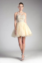 Load image into Gallery viewer, LA Merchandise LARUJ0119 Lace Halter Short A-Line Homecoming Dress - CHAMPAGNE - Dress LA Merchandise