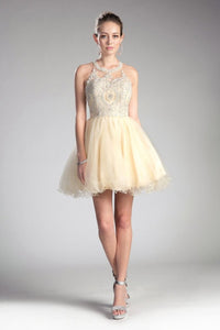 LA Merchandise LARUJ0119 Lace Halter Short A-Line Homecoming Dress - CHAMPAGNE - Dress LA Merchandise