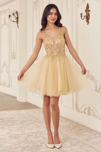 LA Merchandise LARY022 Lace up Corset A-Line Homecoming Dress - CHAMPAGNE - Dress LA Merchandise