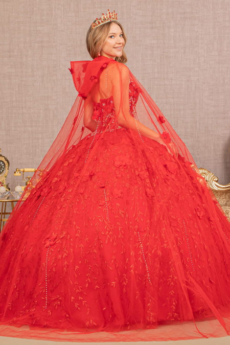 LA Merchandise LAS1939 3D Floral Applique Quince Ball Gown w/ Hooded Mesh Cloak - - Dress LA Merchandise