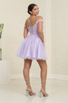 Load image into Gallery viewer, LA Merchandise LA2099 Lace Appliqued Short A-line Homecoming Dress - - Dress LA Merchandise