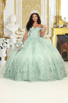 Load image into Gallery viewer, LA Merchandise LA236 Off-Shoulder Butterfly Appliqued Ball Gown - SAGE - LA Merchandise