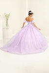 Load image into Gallery viewer, LA Merchandise LA245 Floral Applique Sheer Glitter Quinceanera Gown - - LA Merchandise