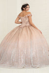 Load image into Gallery viewer, LA Merchandise LA255 Floral Appliqued Champagne Sequin Ball Gown - - LA Merchandise