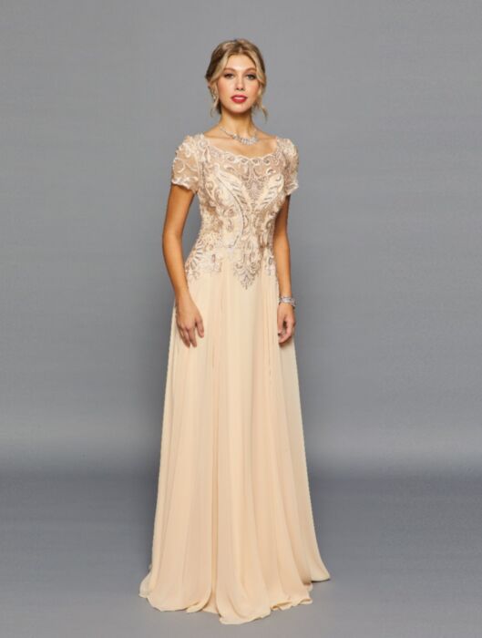 LA Merchandise LADK301 Embroidered Mother Of The Bride Gown - CHAMPAGNE - LA Merchandise