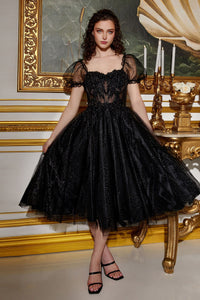 LA Merchandise LARCD0187 Short Puffy Sleeves Vintage Party Dress - BLACK - Dress LA Merchandise