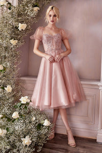 LA Merchandise LARCD0187 Short Puffy Sleeves Vintage Party Dress - BLUSH ROSE GOLD - Dress LA Merchandise
