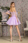 Load image into Gallery viewer, LA Merchandise LAS3396 Detachable Train Sheer Bodice Pageant Gown - - Dress LA Merchandise