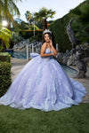 Load image into Gallery viewer, Wholesale Quinceañera Ball Gown with Beaded Sheer Corset &amp; Sweetheart Neckline by LA290