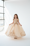 Load image into Gallery viewer, LA Merchandise LAZSCK318 Girls Lace Applique Off Shoulder Glitter Tulle A-Line Gown