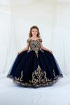 Load image into Gallery viewer, LA Merchandise LAZSCK318 Girls Lace Applique Off Shoulder Glitter Tulle A-Line Gown