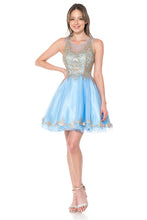 Load image into Gallery viewer, Sleeveless metallic lace applique &amp; rhinestone short mesh dress- LN8101 - - LA Merchandise