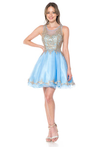 Sleeveless metallic lace applique & rhinestone short mesh dress- LN8101 - - LA Merchandise