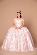 Load image into Gallery viewer, LA Merchandise LAZWB21550 3D Floral Applique Quince Ball Gown - BLUSH - Dress LA Merchnadise