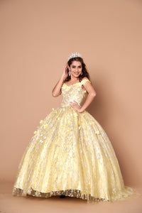 LA Merchandise LAZWB21550 3D Floral Applique Quince Ball Gown - YELLOW - Dress LA Merchnadise